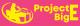 Project Big E